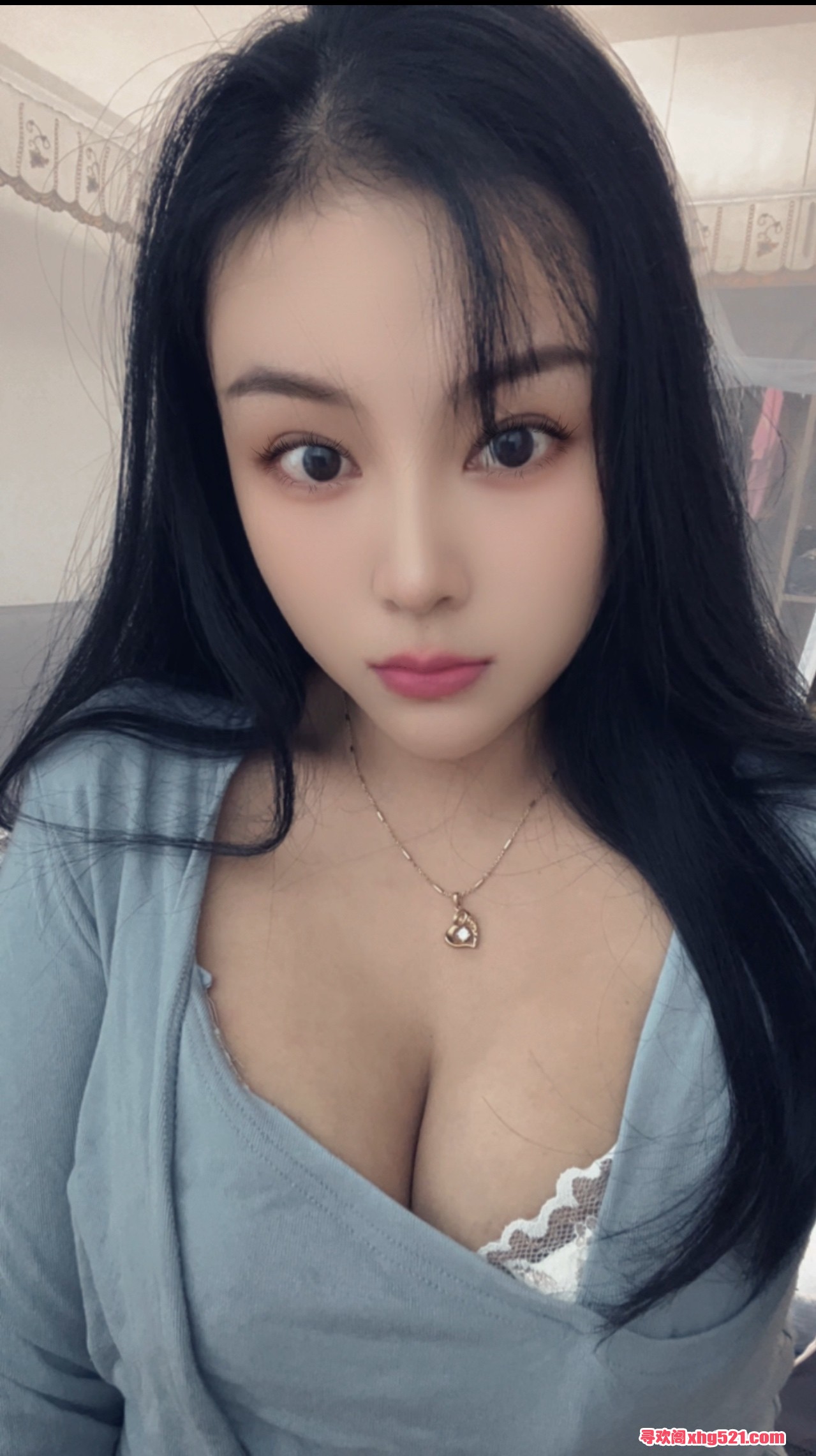 204919c6t6bi4l3l47shz0.jpg